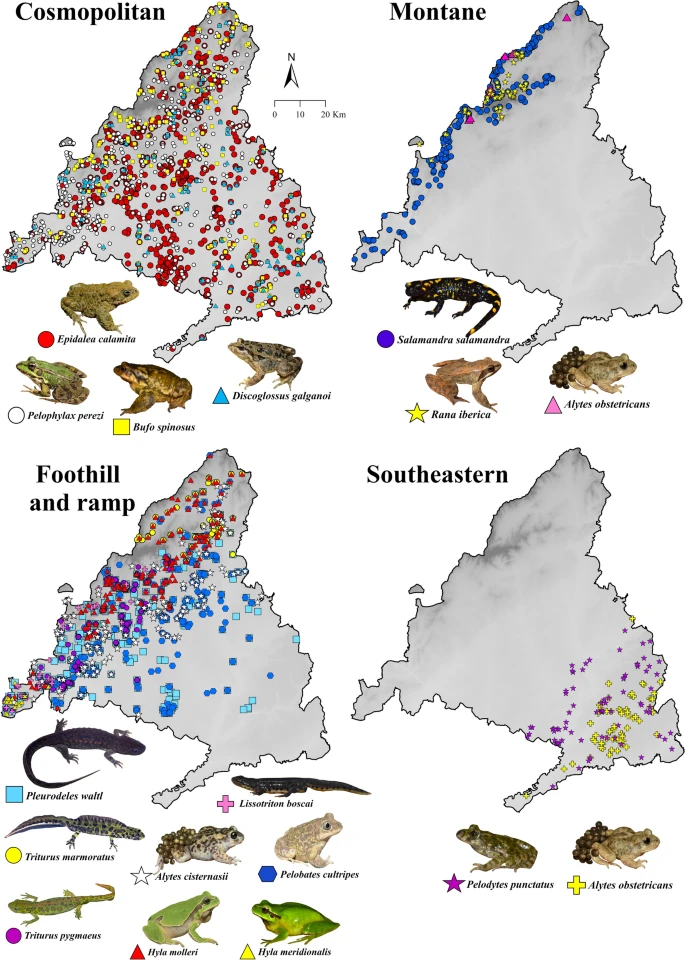 https://media.springernature.com/lw685/springer-static/image/art%3A10.1007%2Fs10980-025-02179-w/MediaObjects/10980_2025_2179_Fig2_HTML.png?as=webp