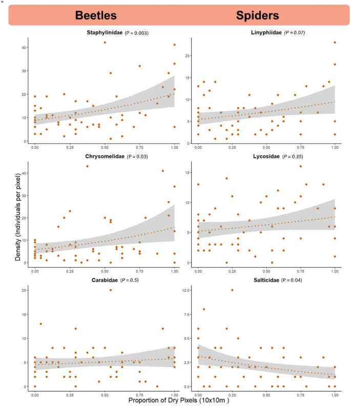 Scale-dependent responses in spider and beetle communities to flooding ...