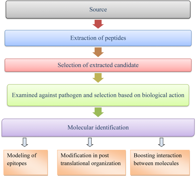 A Crosstalk On Antimicrobial Peptides Springerlink