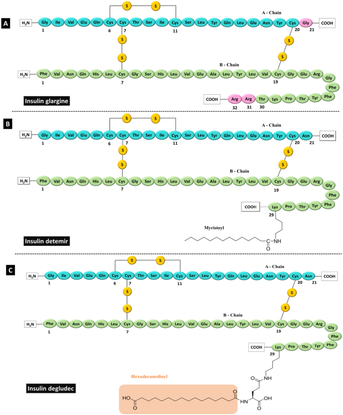 cagrilintide amino acid sequence Mechanism: Peptide Structure and Function Study Development of Cagrilintide, a Long-Acting