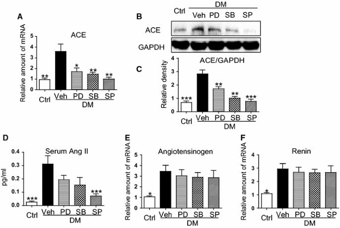Specific Mapk Inhibitors Prevent Hyperglycemia Induced Renal Diseases In Type 1 Diabetic Mouse Model Springerlink