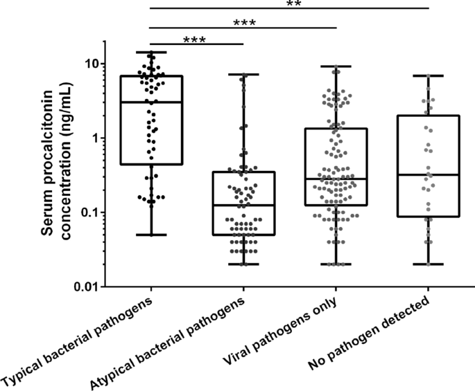 Utilization Of Serum Procalcitonin As A Biomarker In The Diagnosis And Treatment Of Children With Bacterial Hospital Acquired Pneumonia Springerlink