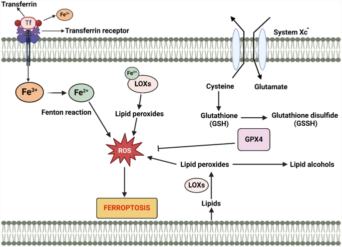 Cell death crosstalk in respiratory diseases: unveiling the 