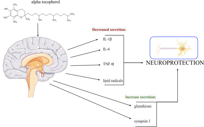 glutathione reductase supplement Effect of antioxidant supplement on glutathione reductase (GR) activity...