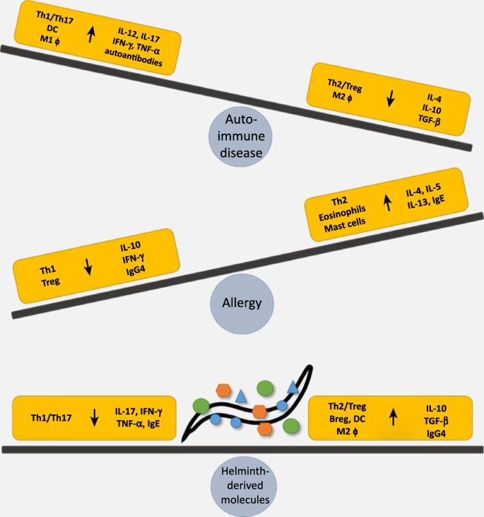 Enterobiasis gpc Helminthic therapy depression