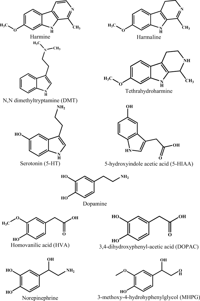 Toxicity Of Ayahuasca After 28 Days Daily Exposure And Effects On Monoamines And Brain Derived Neurotrophic Factor Bdnf In Brain Of Wistar Rats Springerlink