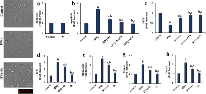 Selenium Prevents Interferon Gamma Induced Activation Of Trpm2 Channel And Inhibits Inflammation Mitochondrial Oxidative Stress And Apoptosis In Microglia Springerlink