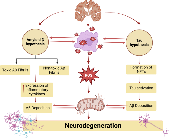 tirzepatide dementia Tirzepatide: a novel therapeutic approach for Alzheimer's disease |  Metabolic Brain Disease