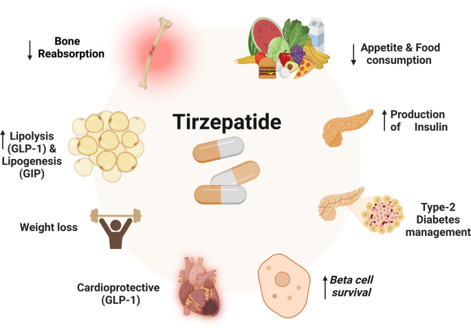 Tirzepatide: a novel therapeutic approach for Alzheimer's disease |  Metabolic Brain Disease