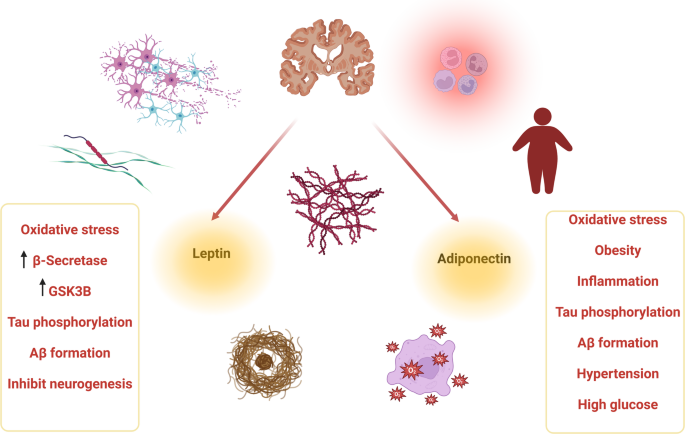 tirzepatide dementia Tirzepatide: a novel therapeutic approach for Alzheimer's disease |  Metabolic Brain Disease