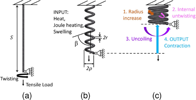 Overtwisting and Coiling Highly Enhance Strain Generation of