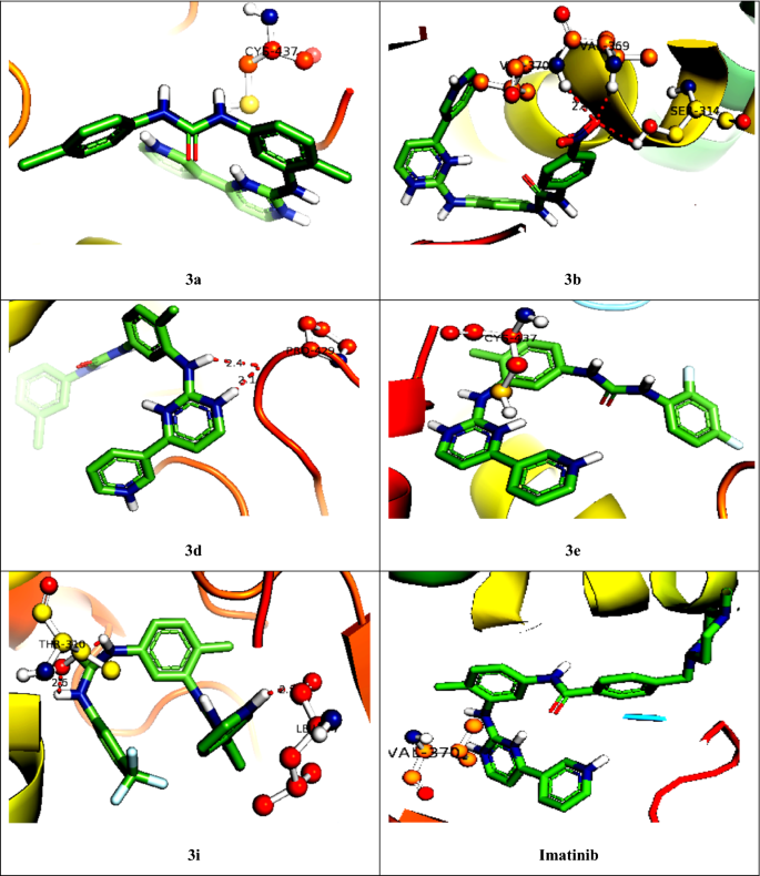 Synthesis Spectral Characterization Docking Studies And Biological Activity Of Urea Thiourea Sulfonamide And Carbamate Derivatives Of Imatinib Intermediate Springerlink Synthesis Spectral Characterization Docking Studies And Biological Activity Of Urea Thiourea Sulfonamide And Carbamate Derivatives Of Imatinib Intermediate Springerlink