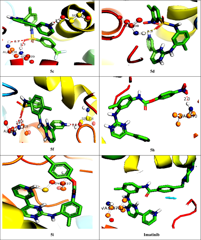 Synthesis Spectral Characterization Docking Studies And Biological Activity Of Urea Thiourea Sulfonamide And Carbamate Derivatives Of Imatinib Intermediate Springerlink Synthesis Spectral Characterization Docking Studies And Biological Activity Of Urea Thiourea Sulfonamide And Carbamate Derivatives Of Imatinib Intermediate Springerlink