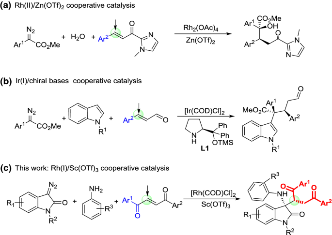 Rh I Sc Otf 3 Co Catalyzed Michael Addition Of Ammonium Ylide To E 1 4 Enediones Synthesis Of Functionalized 1 4 Diketones Springerlink