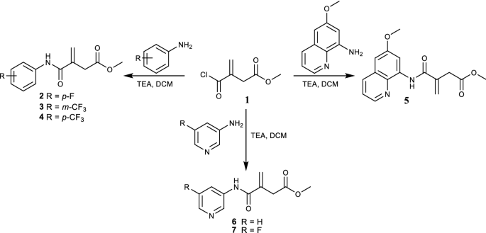 scheme 1