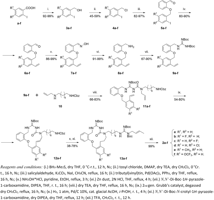 scheme 1