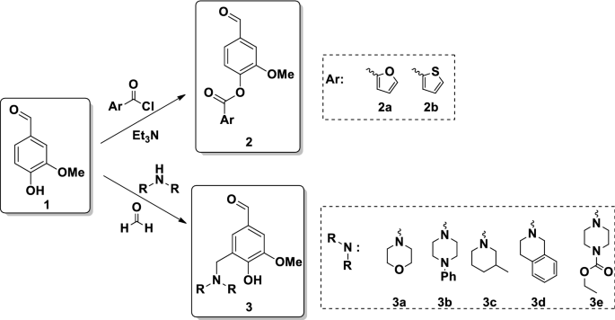 scheme 1