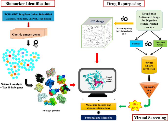 Exploring potential biomarkers and lead molecules in gastric cancer by ...
