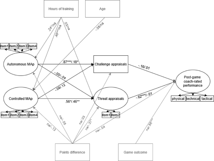Game-to-game dynamics: the role of autonomous and controlled reasons ...