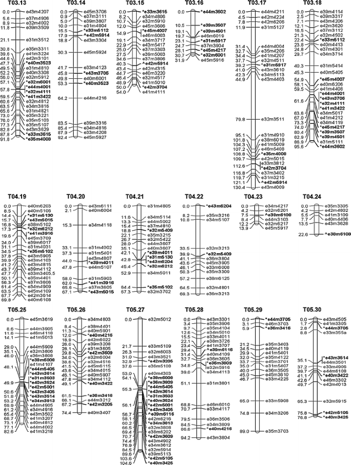 Development Of A Genetic Linkage Map And Identification Of Homologous Linkage Groups In Sweetpotato Using Multiple Dose Aflp Markers Springerlink Development Of A Genetic Linkage Map And Identification Of Homologous Linkage Groups In Sweetpotato Using Multiple Dose Aflp Markers Springerlink