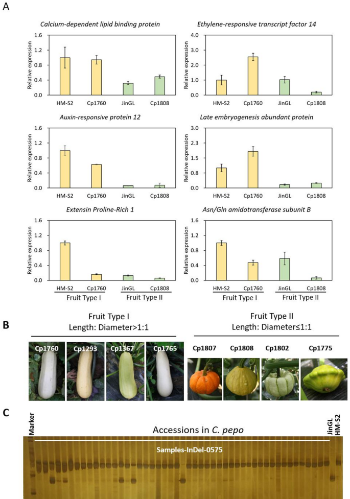 Development of recombinant inbred lines and QTL analysis of plant ...
