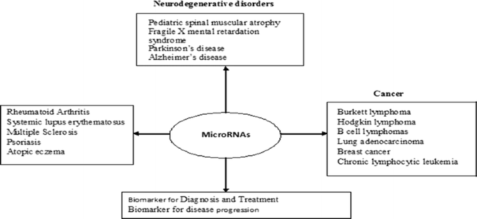 MicroRNAs with a role in gene regulation and in human diseases |  SpringerLink