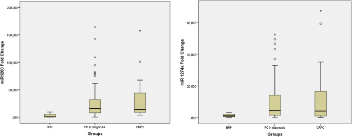 Expression Patterns And Bioinformatic Analysis Of Mir 1260a And Mir 1274a In Prostate Cancer Tunisian Patients Springerlink Expression Patterns And Bioinformatic Analysis Of Mir 1260a And Mir 1274a In Prostate Cancer Tunisian Patients Springerlink
