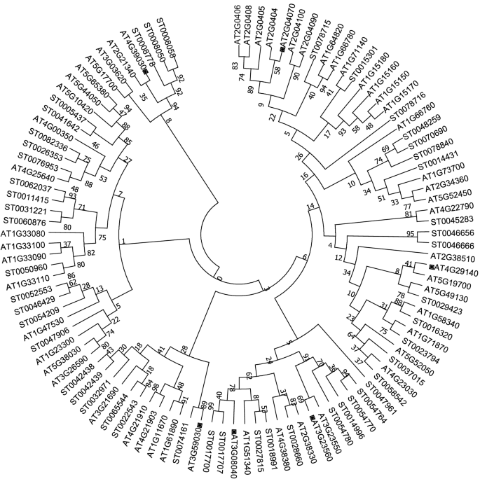 Genome-wide analysis of the MATE gene family in potato | SpringerLink