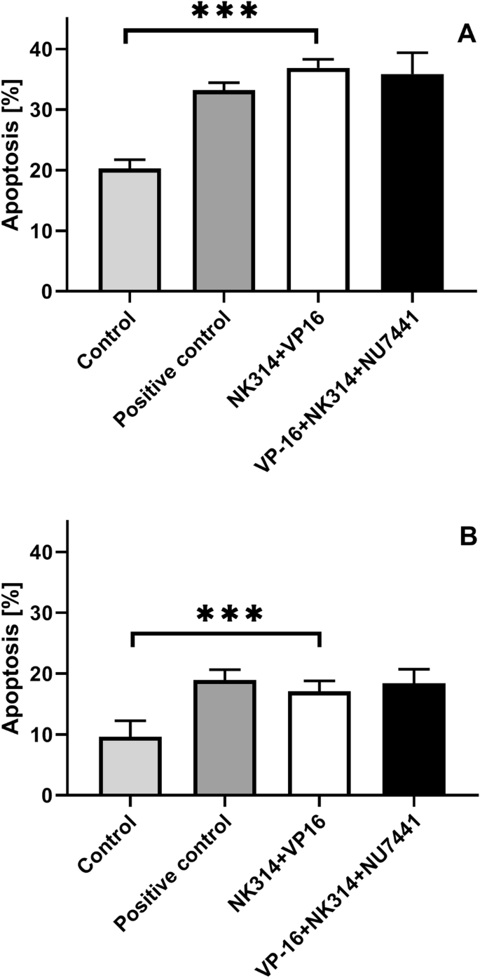 Inhibition Of Dna Pk Potentiates The Synergistic Effect Of Nk314 And Etoposide Combination On Human Glioblastoma Cells Springerlink