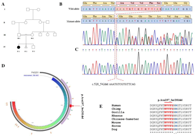 In Autosomal Dominant Inheritance Asp Date