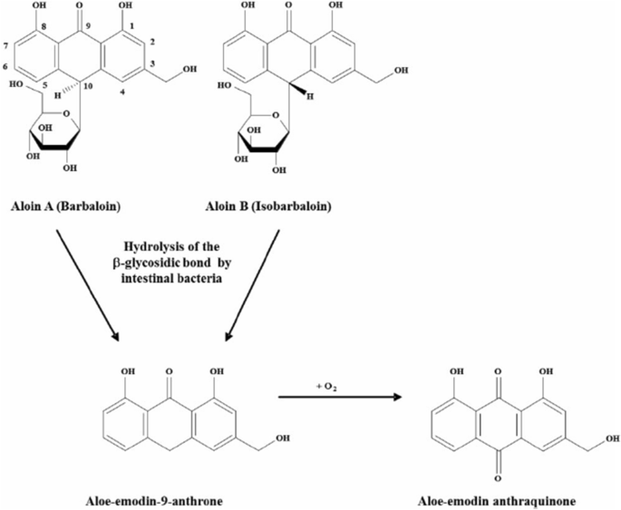 The dark side of miracle plant-Aloe vera: a review | Molecular Biology  Reports | Springer Nature Link