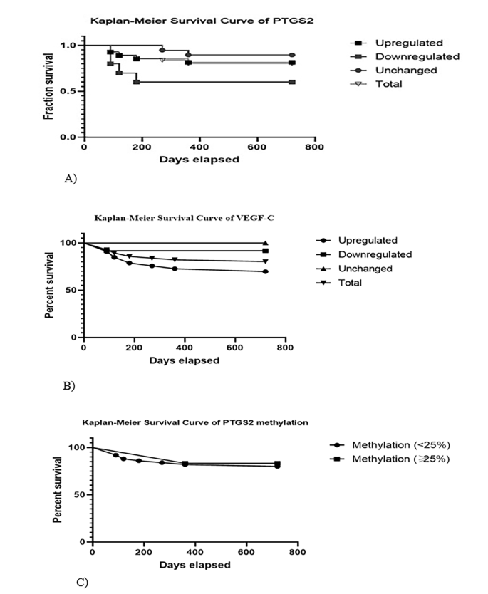 Studying the potential of upregulated PTGS2 and VEGF-C besides