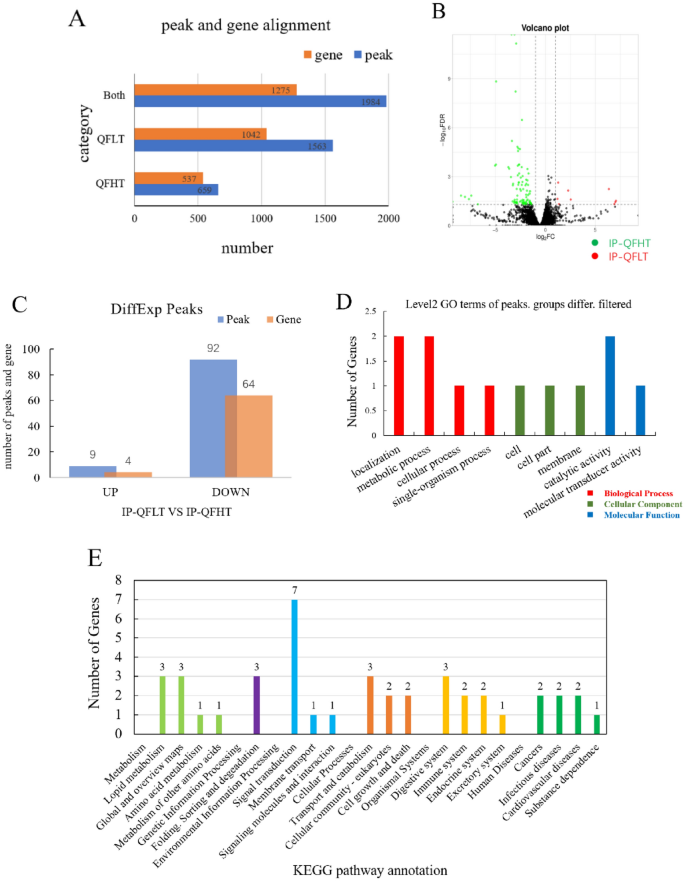 POU-M2 promotes juvenile hormone biosynthesis by directly activating the  transcription of juvenile hormone synthetic enzyme genes in Bombyx mori