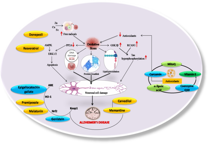 glutathione rapta c RAPTA-C (Ru(6-p-cymene)Cl2(pta)) | Anti-cancer Agent, Anti-angiogenic  Agent