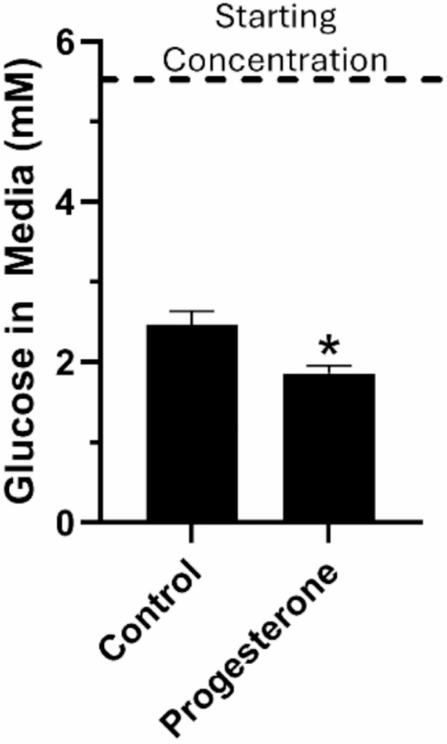 Progesterone increases metabolism via the pentose phosphate pathway in ...