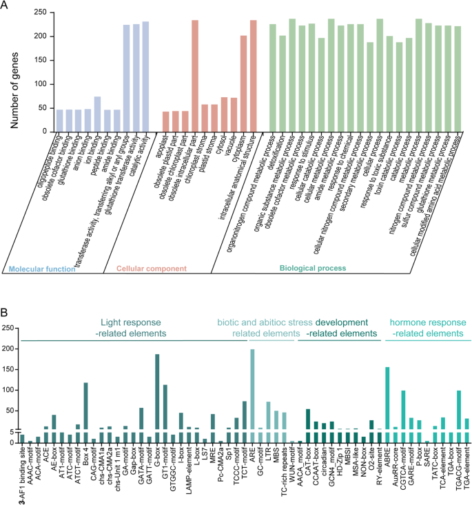 can i drink glutathione after drinking alcohol Glutathione and Hangover: The Science-Backed Approach to Alcohol Recov