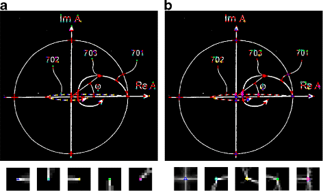 Contextual local primitives for binary patent image retrieval