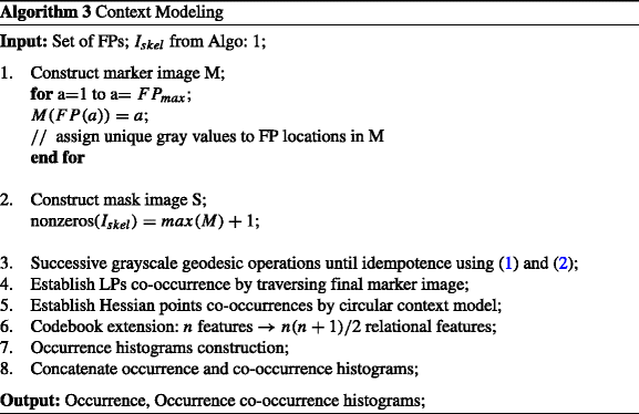 Contextual local primitives for binary patent image retrieval