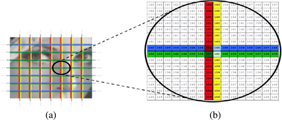 figure 17