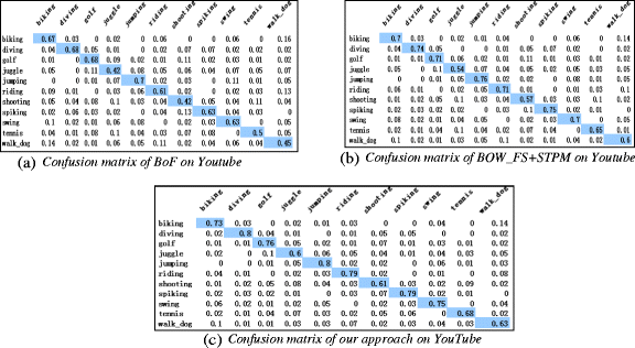A hierarchical representation for human action recognition in 