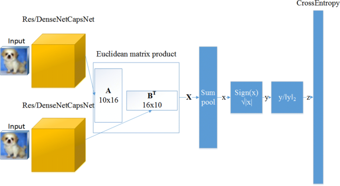 Deep Interactive Encoding With Capsule Networks For Image Classification Springerlink