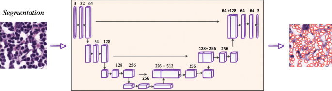research papers on the medical field figure 6