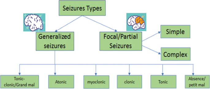 seizure research paper figure 1