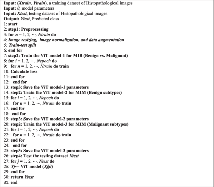 Magnification Independent Breast Cancer Analysis Using Vision ...