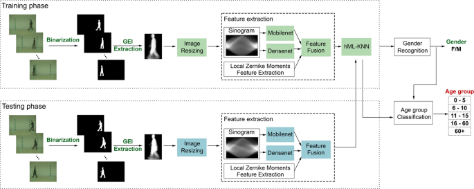 Human gender classification and age estimation based on gait images ...