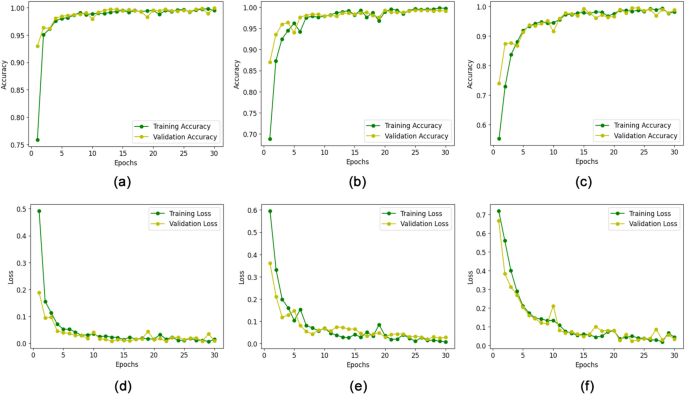 Human gender classification and age estimation based on gait images ...
