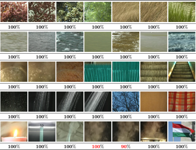 Dynamic texture description using adapted bipolar-invariant and