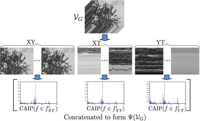 Dynamic texture description using adapted bipolar-invariant and