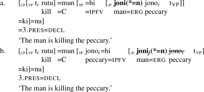 Amahuaca Ergative As Agreement With Multiple Heads Springerlink