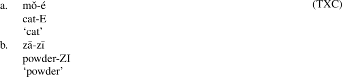 Reduplication And The Structure Of Nouns In Xining Chinese Springerlink